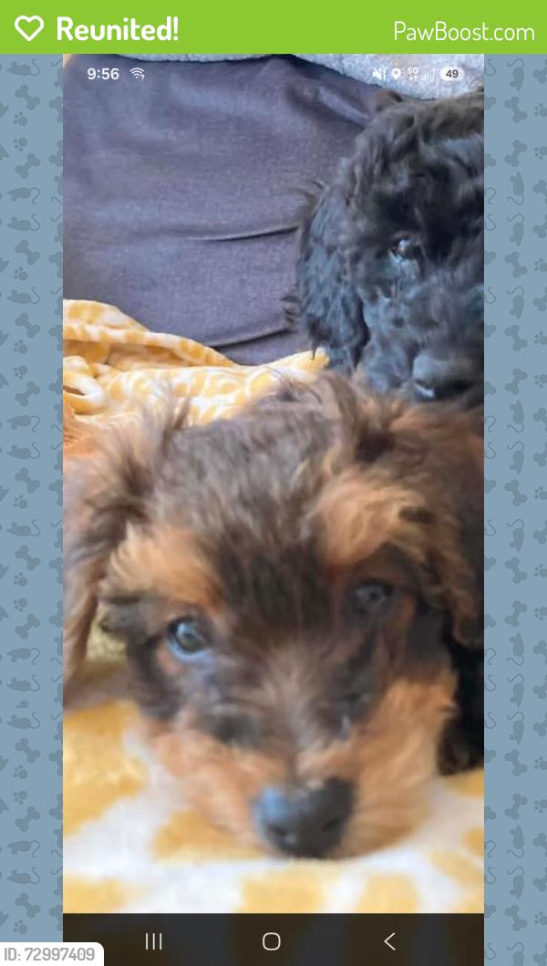 Reunited Female Other last seen Route 284 between Rte. 15 and rte 287, Waterville, PA 17776