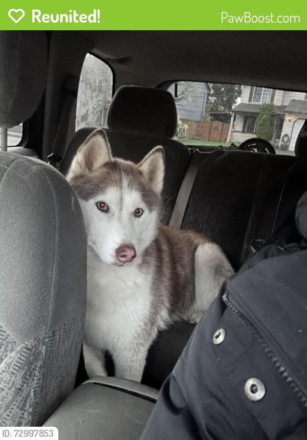 Reunited Female Dog last seen N.e. 32nd st and n.e. 166th place, Vancouver, WA 98682