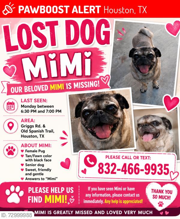 Lost Female Dog last seen Griggs and old Spanish trail , Houston, TX 77087