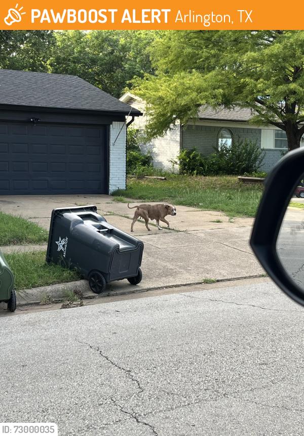 Found/Stray Female Dog last seen B.C. Barnes Park, Arlington, TX 76014