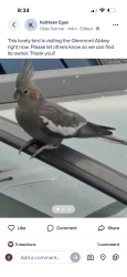 Found/Stray Unknown Bird last seen Glenmont Abbey Village Retirement Community, Glenmont, NY 12077