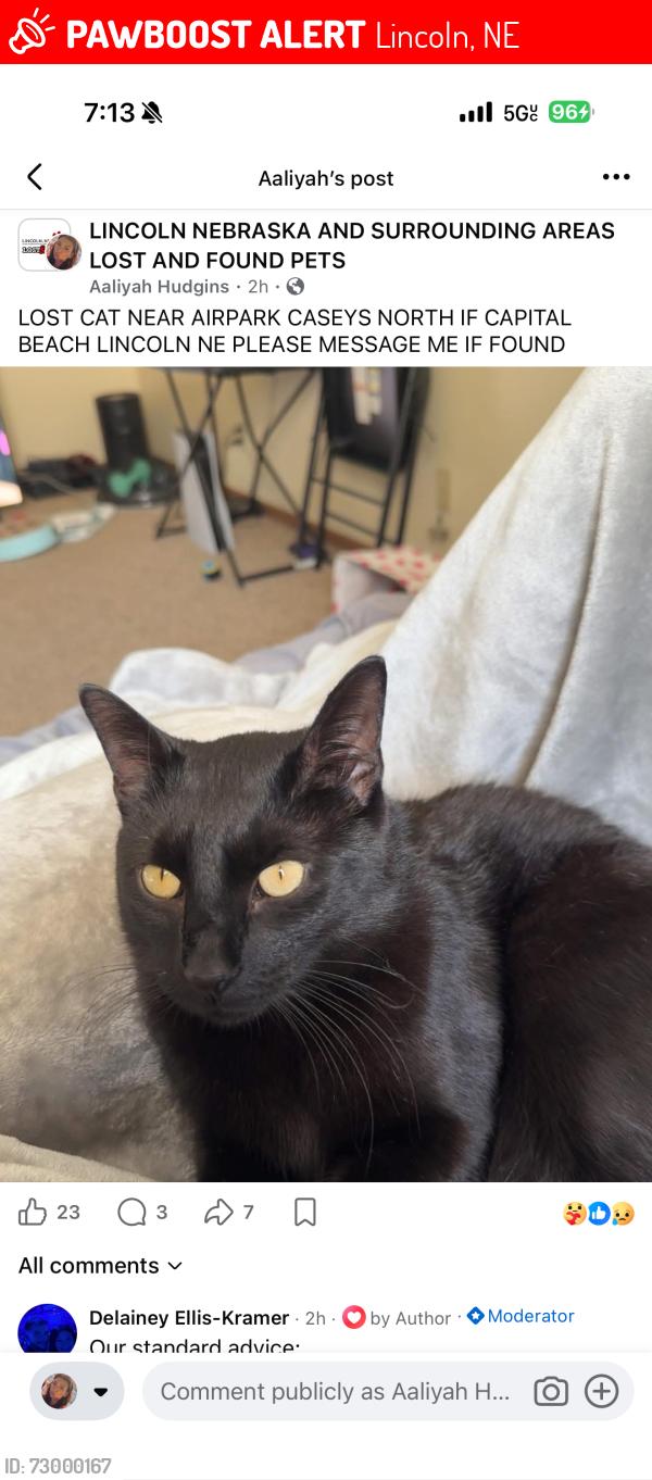 Lost Male Cat last seen Casey’s gas station near hwy 77, Lincoln, NE 68521