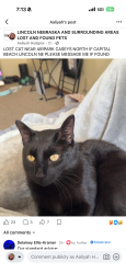 Lost Male Cat last seen Casey’s gas station near hwy 77, Lincoln, NE 68521