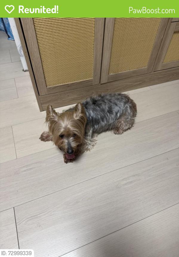 Reunited Male Dog last seen Near NW 11th St, Fort Lauderdale, FL 33311, Fort Lauderdale, FL 33311