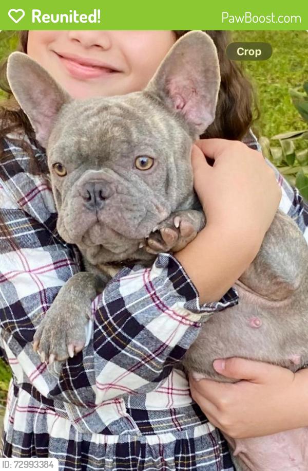 Reunited Female Dog last seen Near th St, Pompano Beach, FL 33064