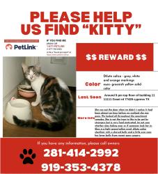 Lost Female Cat last seen Jones rd, Cypress, TX 77429