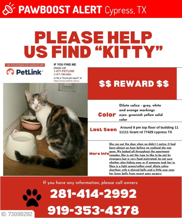 Lost Female Cat last seen Jones rd, Cypress, TX 77429