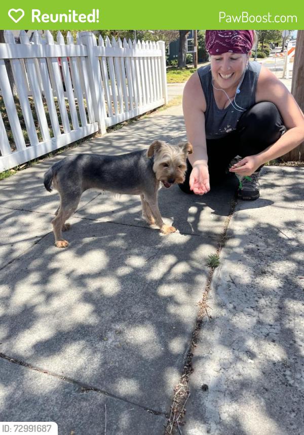 Reunited Female Dog last seen Solita , San Diego, CA 92115