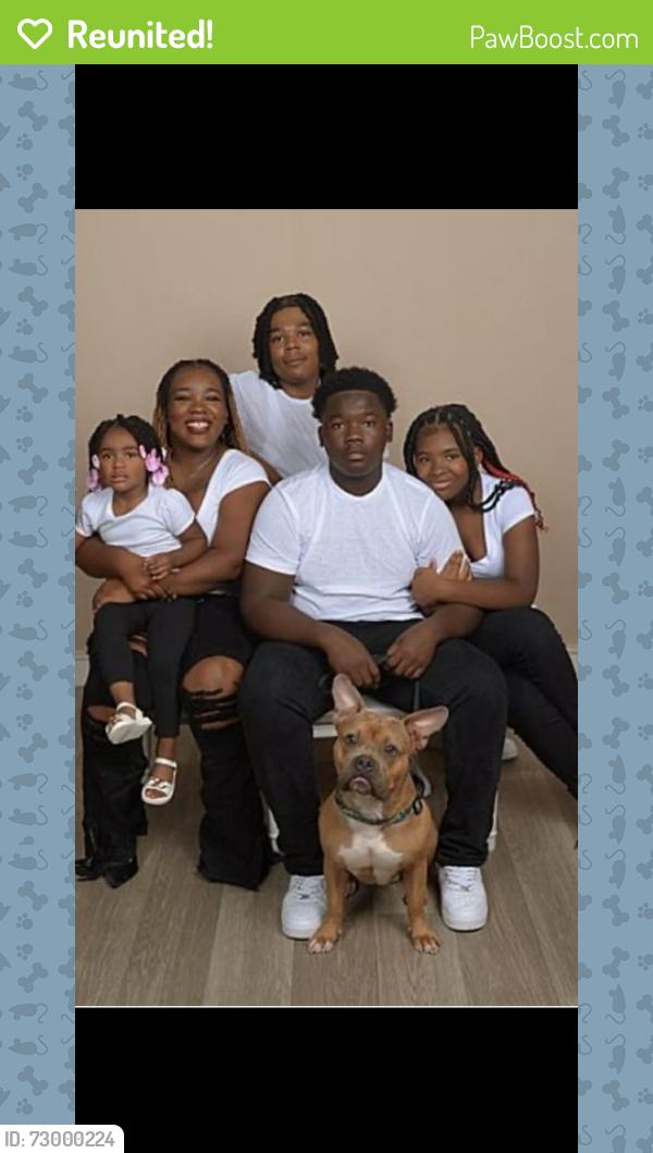 Reunited Male Dog last seen Prosperity park, Saint Paul, MN 55106