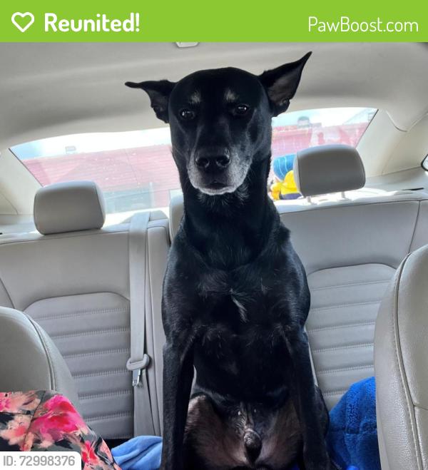 Reunited Male Dog last seen memorial park, Houston, TX 77007