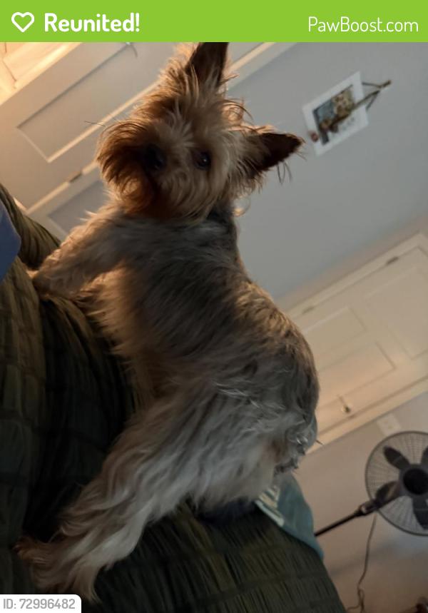 Reunited Female Dog last seen Near NW 177th Terrace, Edmond, OK 73012, USA, Edmond, OK 73012