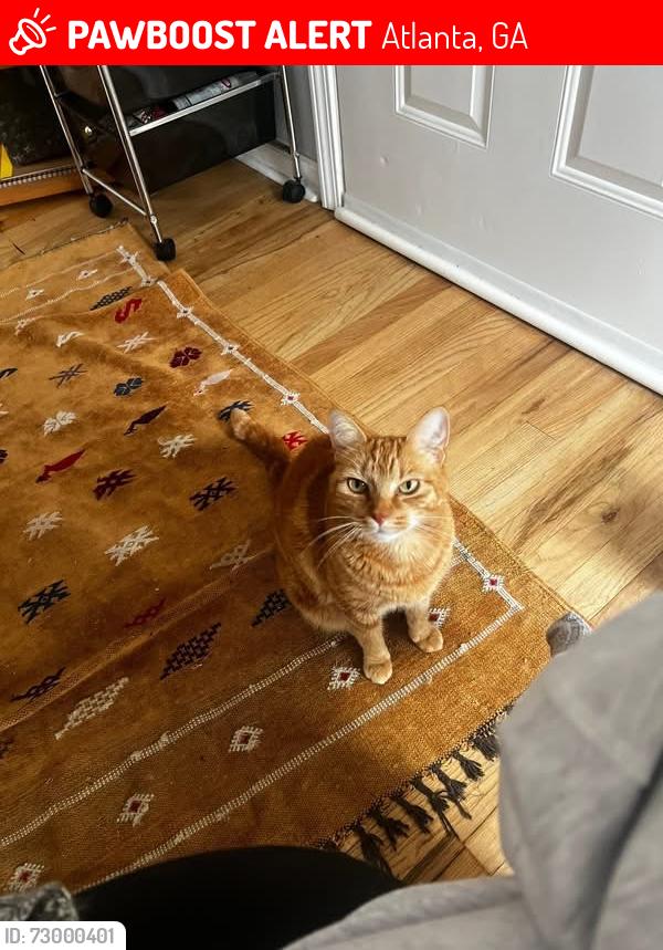 Lost Female Cat last seen Edgewood , Atlanta, GA 30317