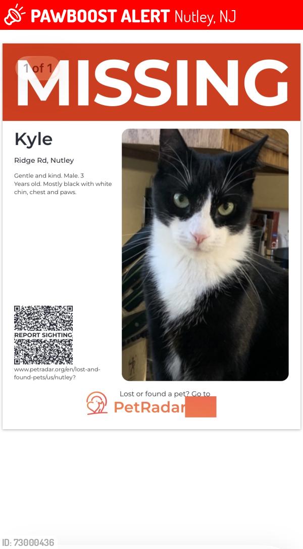 Lost Male Cat last seen Intersection Ridge Road and Chestnut Street , Nutley, NJ 07110