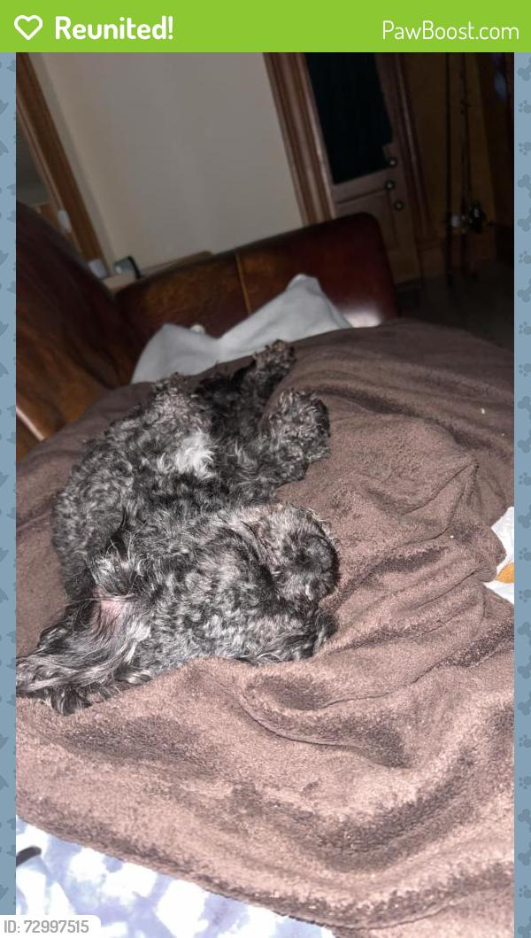 Reunited Male Dog last seen Near highway, Genoa City, WI 53128