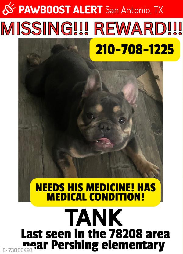 Lost Male Dog last seen Edgar ave / n new Braunfels / Carson street , San Antonio, TX 78208