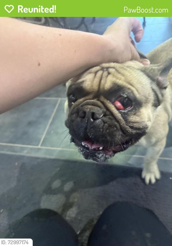 Reunited Male Dog last seen Near First St, Norco, CA 92860, USA, Norco, CA 92860