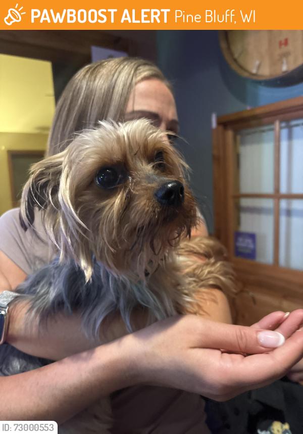 Found/Stray Male Dog last seen Kurtnikis, Pine Bluff, WI 53528
