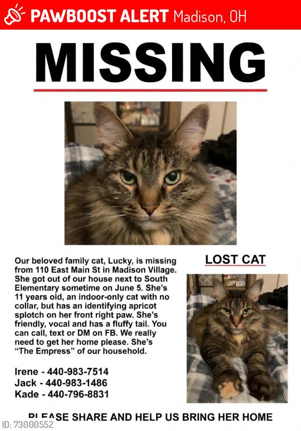 Lost Female Cat last seen Madison South Elementary School, Madison, OH 44057