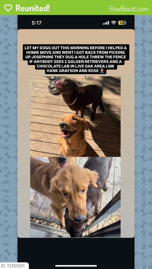 Reunited Male Dog last seen Live oak area, San Antonio, TX 78233