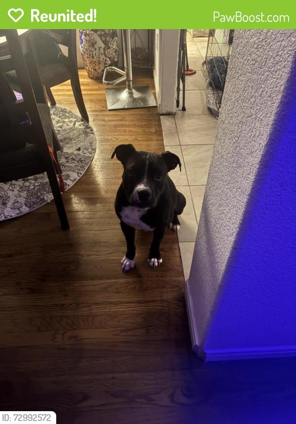 Reunited Male Dog last seen Dellview area, San Antonio, TX 78213