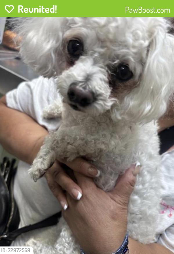 Reunited Female Dog last seen Ansel Adam’s Elementary , Stockton, CA 95212