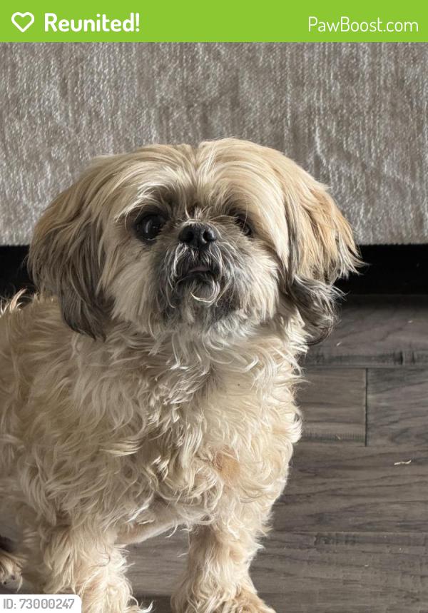 Reunited Female Dog last seen Martingale Trail and Stonebriar, Oak Point, TX 75068