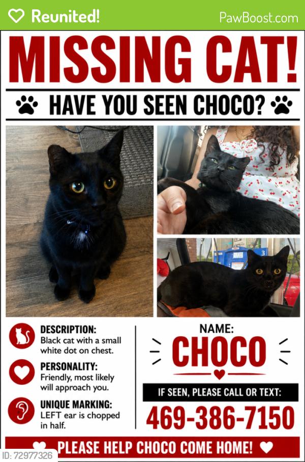 Reunited Male Cat last seen By the back end of the cottages , College Station, TX 77840