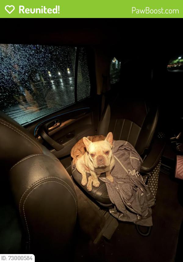 Reunited Male Dog last seen Kowalskis and white bear Avenue , White Bear Lake, MN 55110