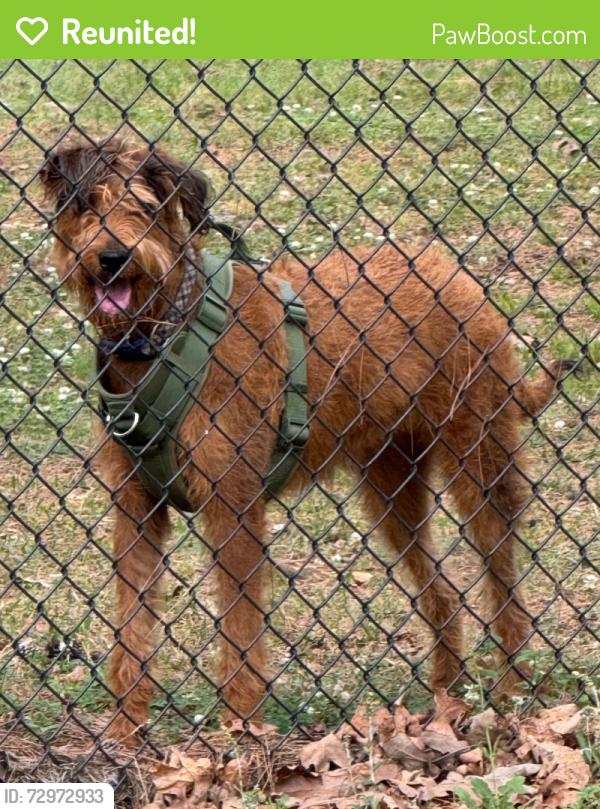 Reunited Male Dog last seen Maumelle BLVD and Arnold Palmer , Maumelle, AR 72113