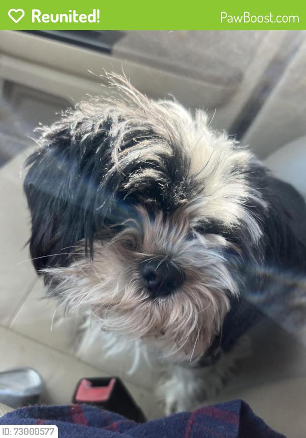 Reunited Female Dog last seen Lowell Bethesda road south new hope, Gastonia, NC 28056
