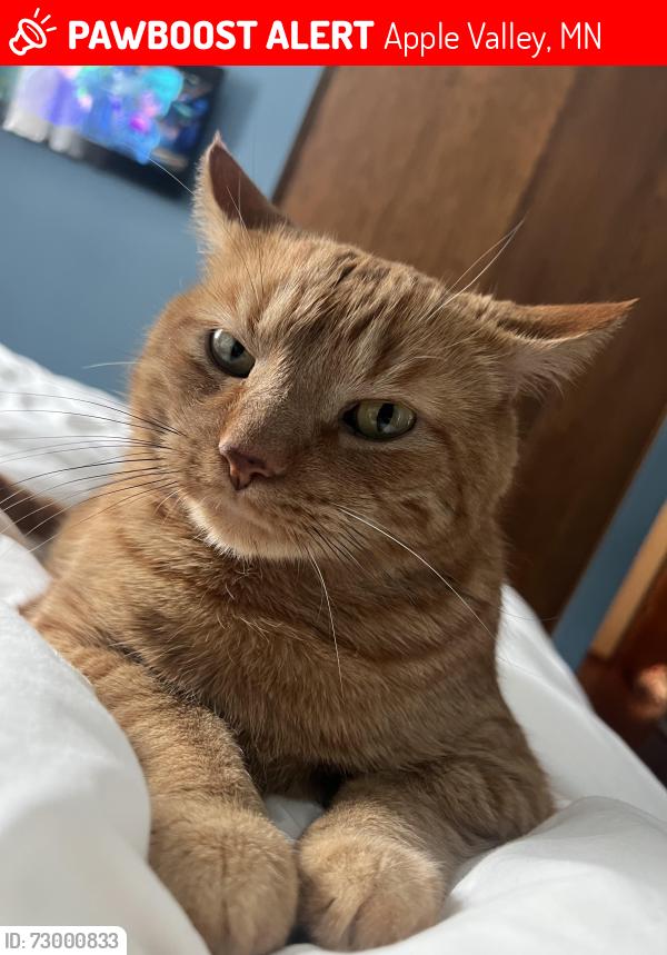 Lost Male Cat last seen 142nd Street W & Galaxie, Apple Valley, MN 55124