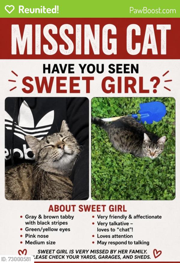 Reunited Female Cat last seen La Porte, TX 77571, USA, La Porte, TX 77571
