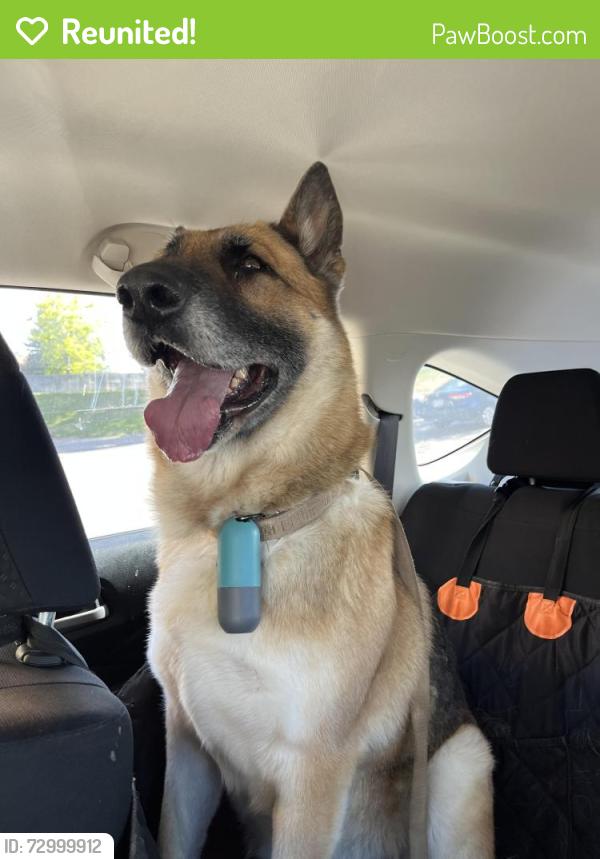 Reunited Female Dog last seen Arkansas elementary school, Aurora, CO 80017