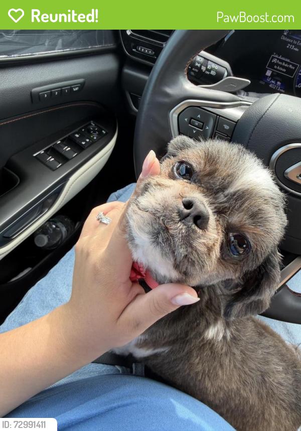 Reunited Female Dog last seen Quick trip on S Parker’s St and Old 69 HWY, Olathe, KS 66061