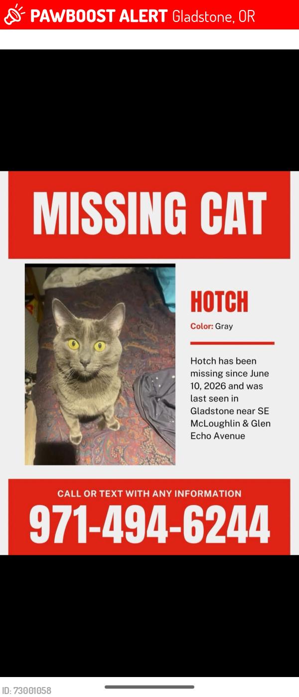 Lost Male Cat last seen Glen Echo Ave and Abernethy Lane, Gladstone, OR 97027