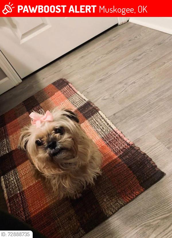 Lost Female Dog last seen Broadway apmts #5 on Broadway Street, Muskogee, OK 74401