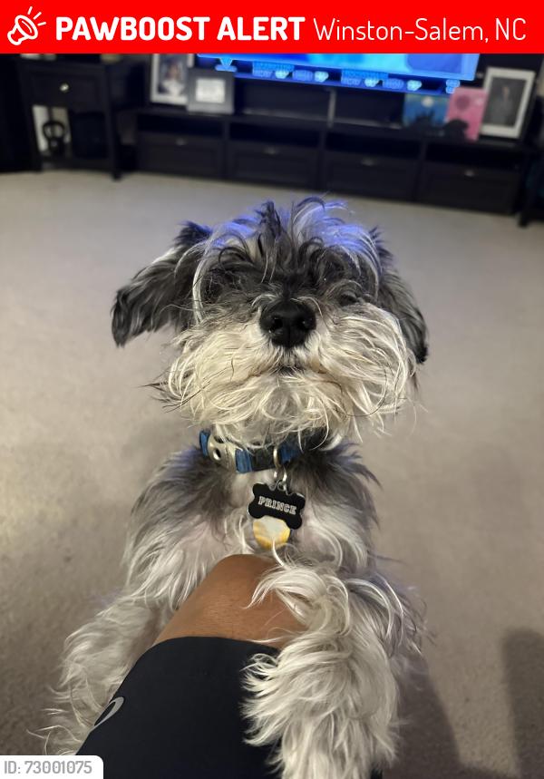 Lost Male Dog last seen Griffith Park , Winston-Salem, NC 27103