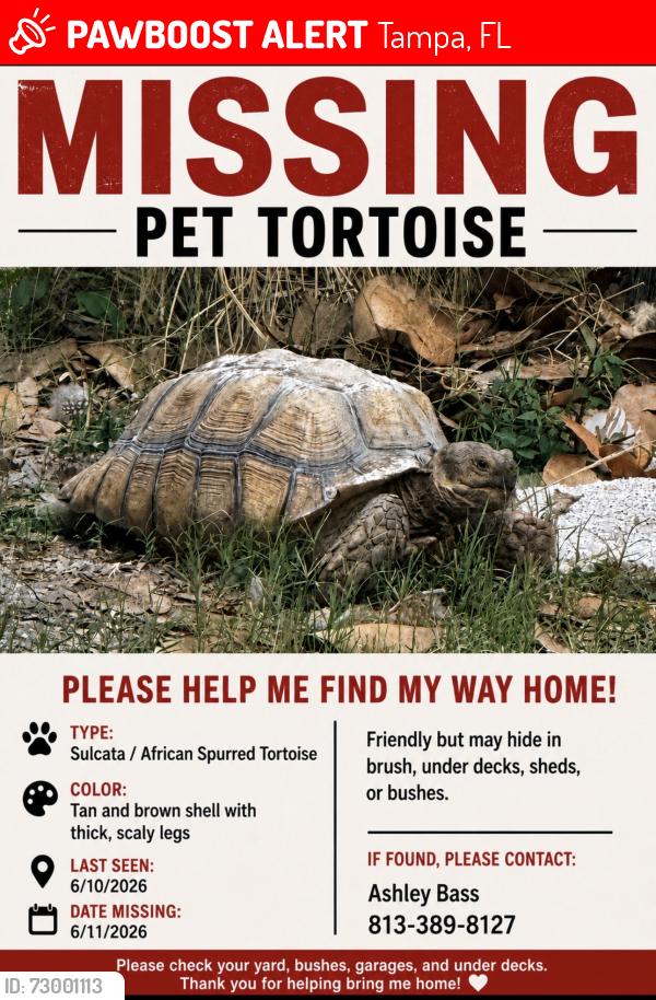 Lost Female Reptile last seen Six mile creek rd tampa fl 33610, Tampa, FL 33610