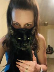 Lost Male Cat last seen Old loganville road, Loganville, GA 30052