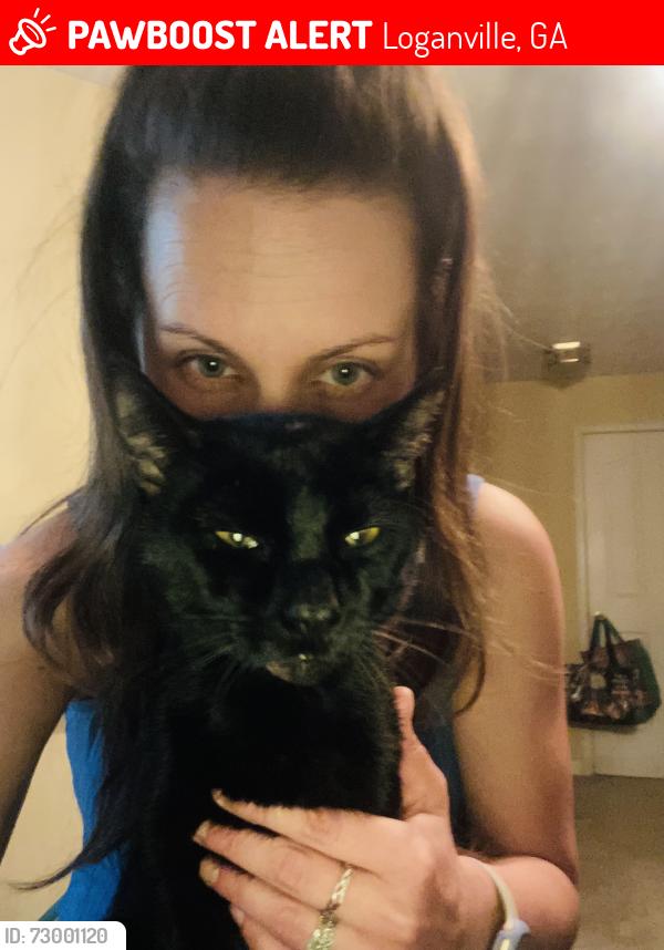 Lost Male Cat last seen Old loganville road, Loganville, GA 30052