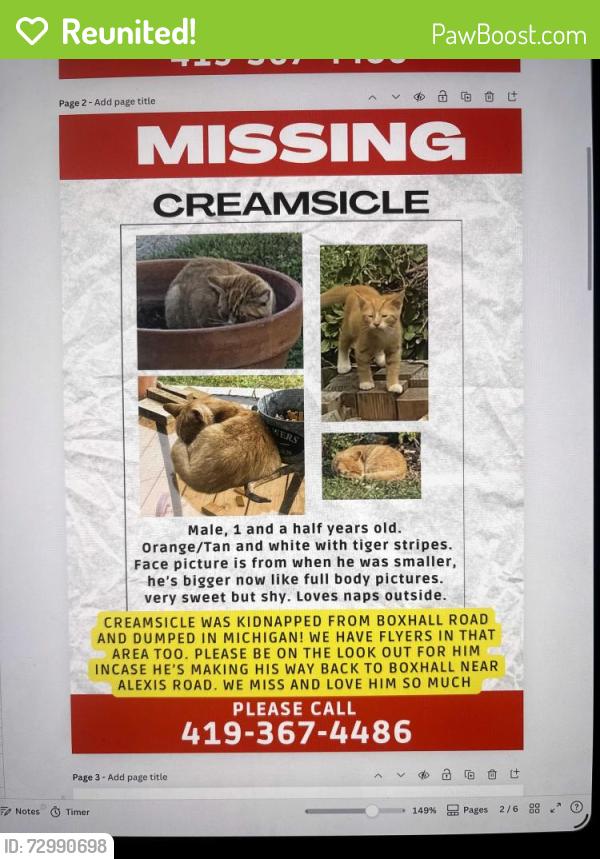 Reunited Male Cat last seen Suder ave, Toledo, OH 43611
