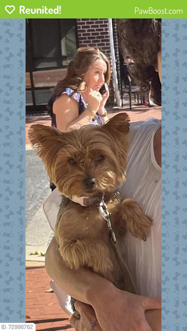 Reunited Female Dog last seen Post Office parking lot , Annapolis, MD 21403