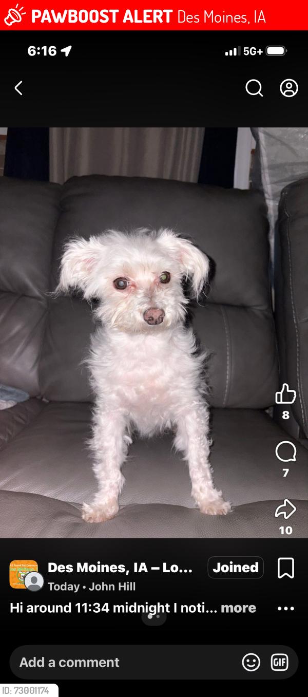 Lost Male Dog last seen Easton blvd , Des Moines, IA 50317