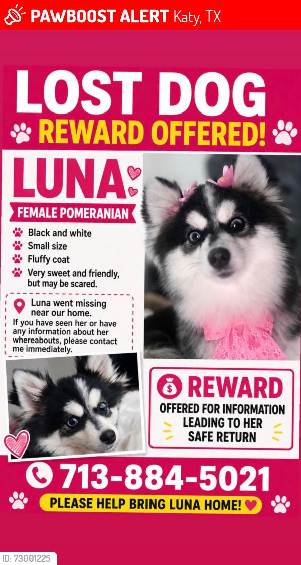 Lost Female Dog last seen Katy , Katy, TX 77493