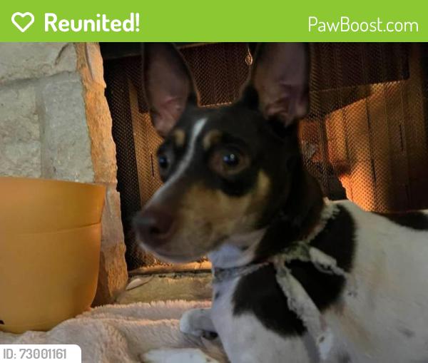 Reunited Male Dog last seen Bay sky way, Seabrook, TX 77586