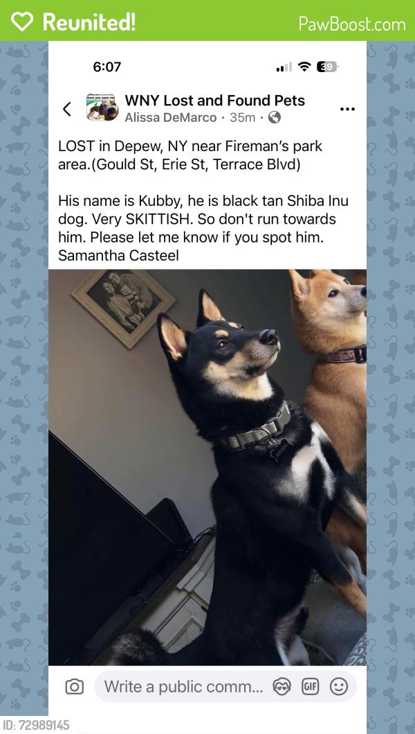 Reunited Male Dog last seen Near Firemen’s Park and Broadway, Depew, NY 14043