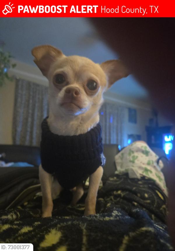 Lost Male Dog last seen De Cordova bend park, Hood County, TX 76049
