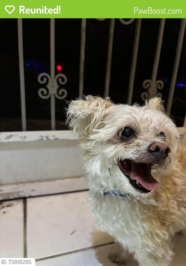 Reunited Unknown Dog last seen Salford Blvd, North Port, FL 34286