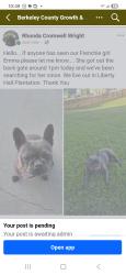 Lost Female Dog last seen Greywood Lane Liberty Hall Plantation , Goose Creek, SC 29445