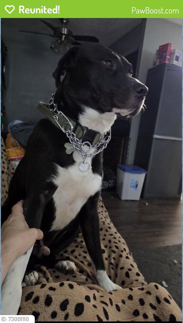 Reunited Male Dog last seen Near Pompano Ct, Pantego, TX 76013, USA, Pantego, TX 76013